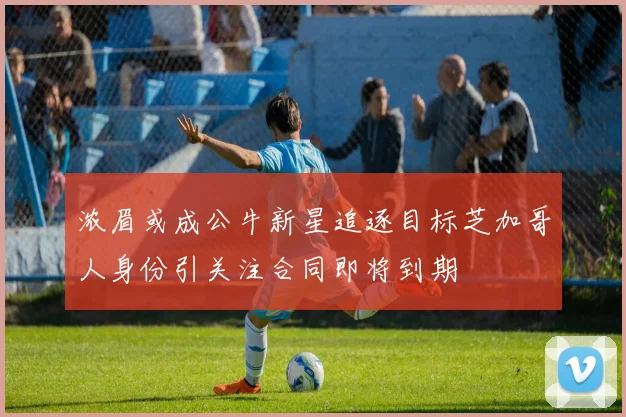 浓眉或成公牛新星追逐目标芝加哥人身份引关注合同即将到期